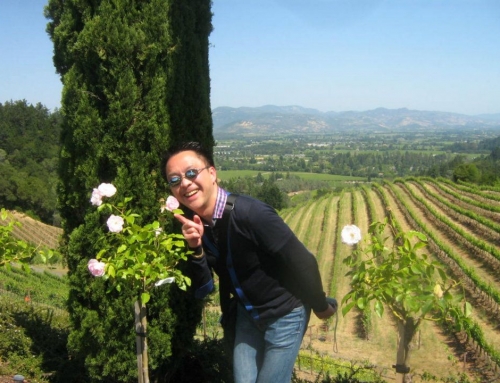 Research Day in Napa—May 29, 2012